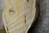 Thumbnail for Natural Edge Round Cut Cottonwood Coffee Table Top CLOSEOUT 20776