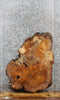 Thumbnail for Figured Spalted Maple Tree Slice, Coffee Table Top Slab 20777