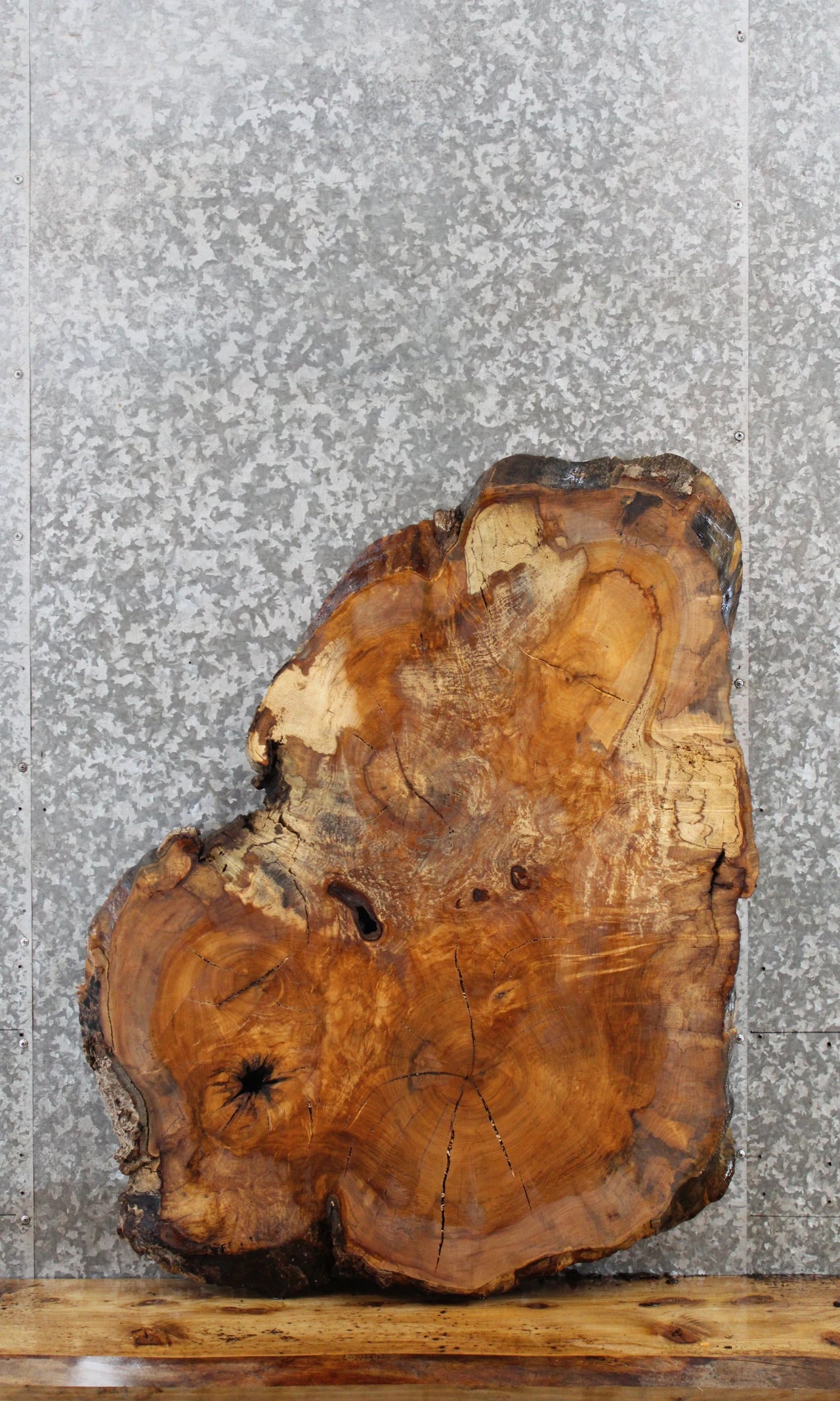 Figured Spalted Maple Tree Slice, Coffee Table Top Slab 20777