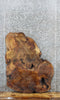 Thumbnail for Figured Spalted Maple Tree Slice, Coffee Table Top Slab 20777