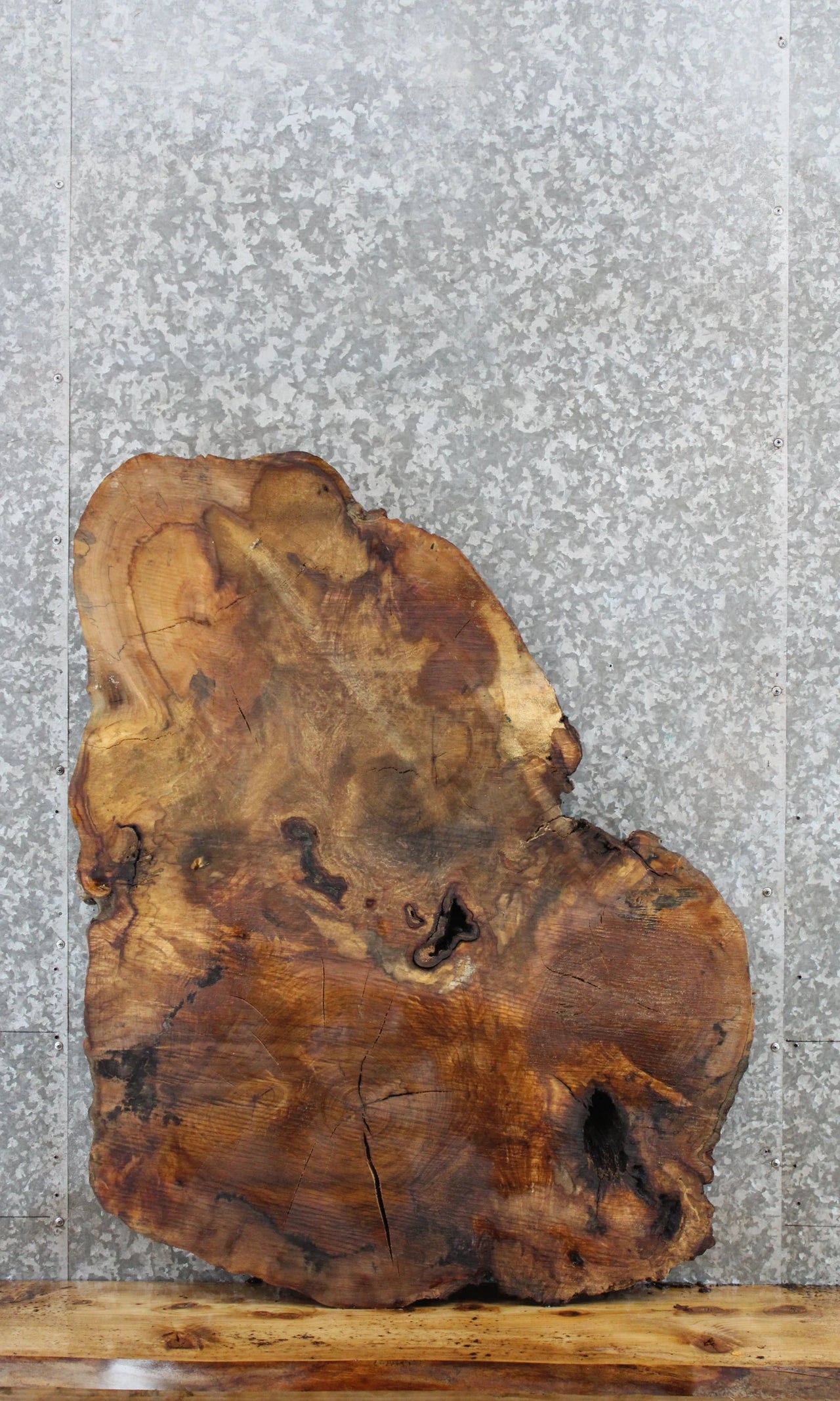 Figured Spalted Maple Tree Slice, Coffee Table Top Slab 20777