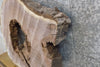 Thumbnail for Black Walnut Round Cut Live Edge Epoxy Project/Table Top Slab 20780