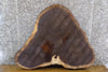 Thumbnail for Black Walnut Oval Cut Coffee Table Top Wood Slab 20782