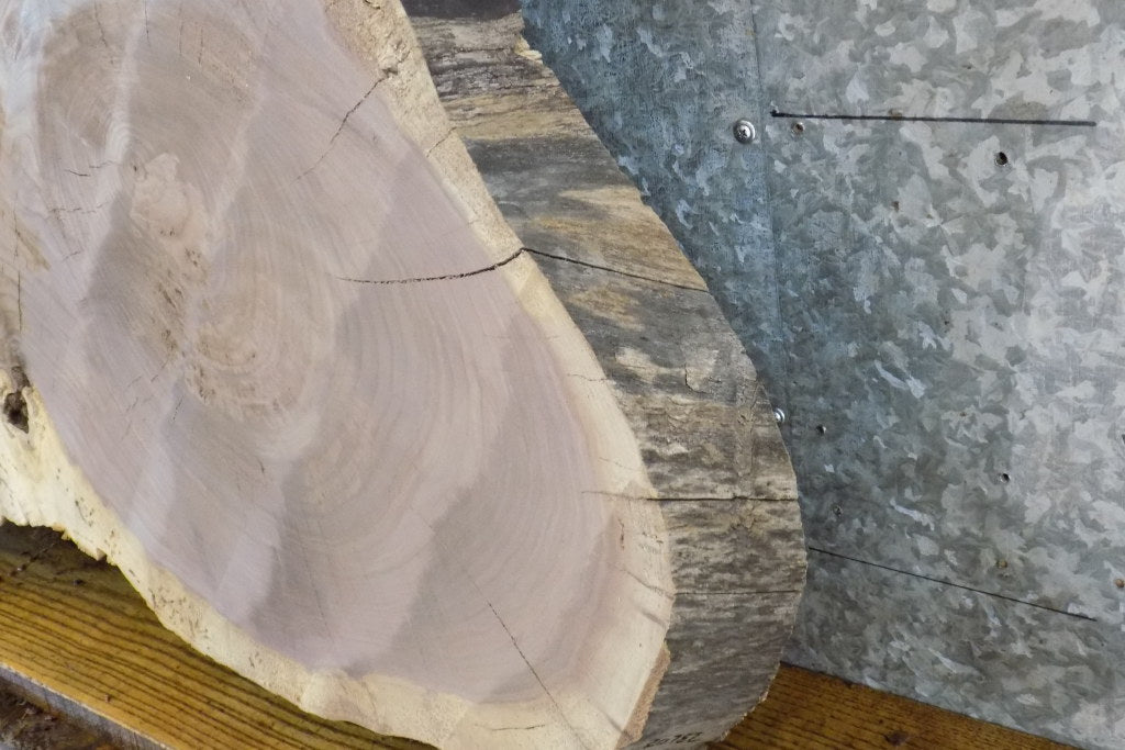 Black Walnut Oval Cut Coffee Table Top Wood Slab 20782