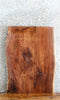 Thumbnail for Live Edge Black Walnut Sofa/Coffee Table Top 20783