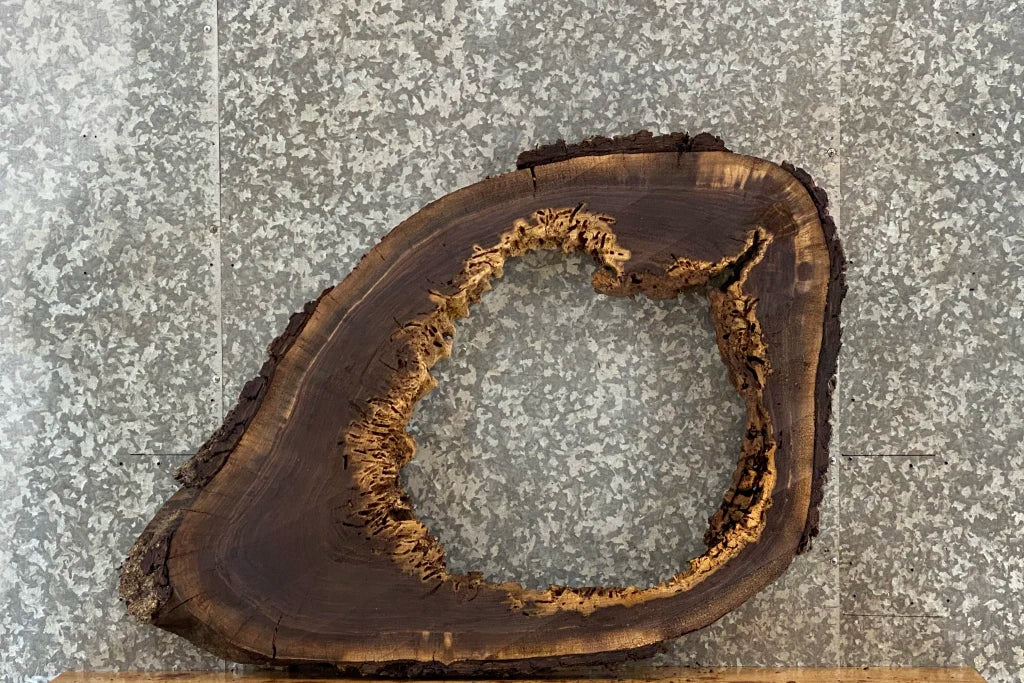 Black Walnut Live Edge Tree Log Slice, Epoxy Project 20784