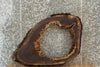 Thumbnail for Black Walnut Live Edge Tree Log Slice, Epoxy Project 20784