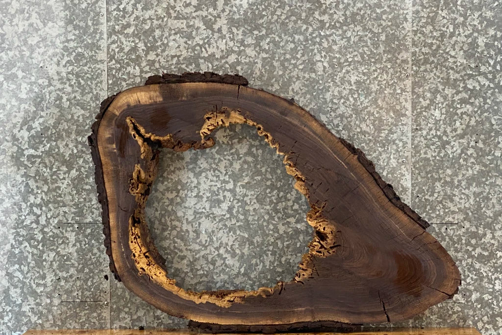 Black Walnut Live Edge Tree Log Slice, Epoxy Project 20784