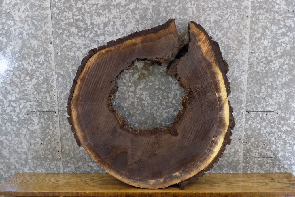 Natural Edge Black Walnut Round/Thick Cut Epoxy Project Slab 20793