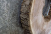 Thumbnail for Natural Edge Black Walnut Round/Thick Cut Epoxy Project Slab 20793
