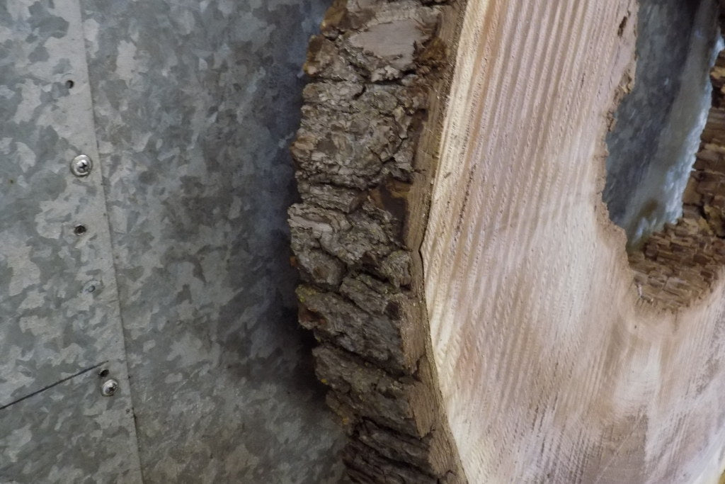 Natural Edge Black Walnut Round/Thick Cut Epoxy Project Slab 20793