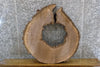 Thumbnail for Natural Edge Black Walnut Round/Thick Cut Epoxy Project Slab 20793