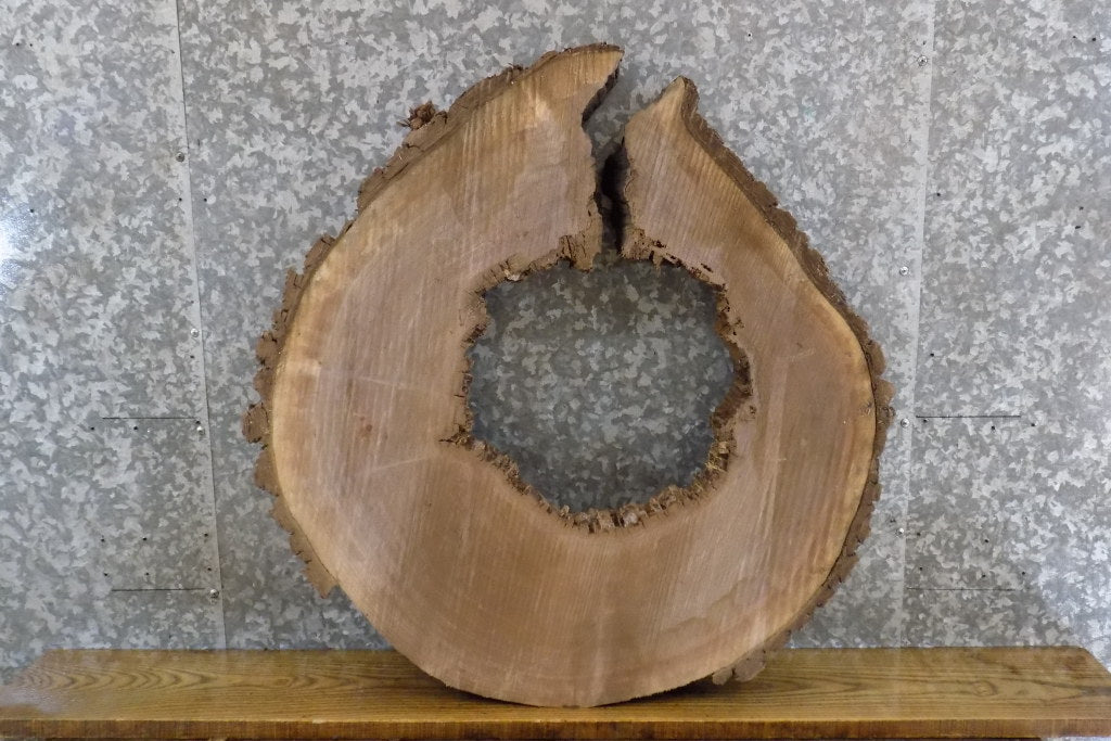 Natural Edge Black Walnut Round/Thick Cut Epoxy Project Slab 20793