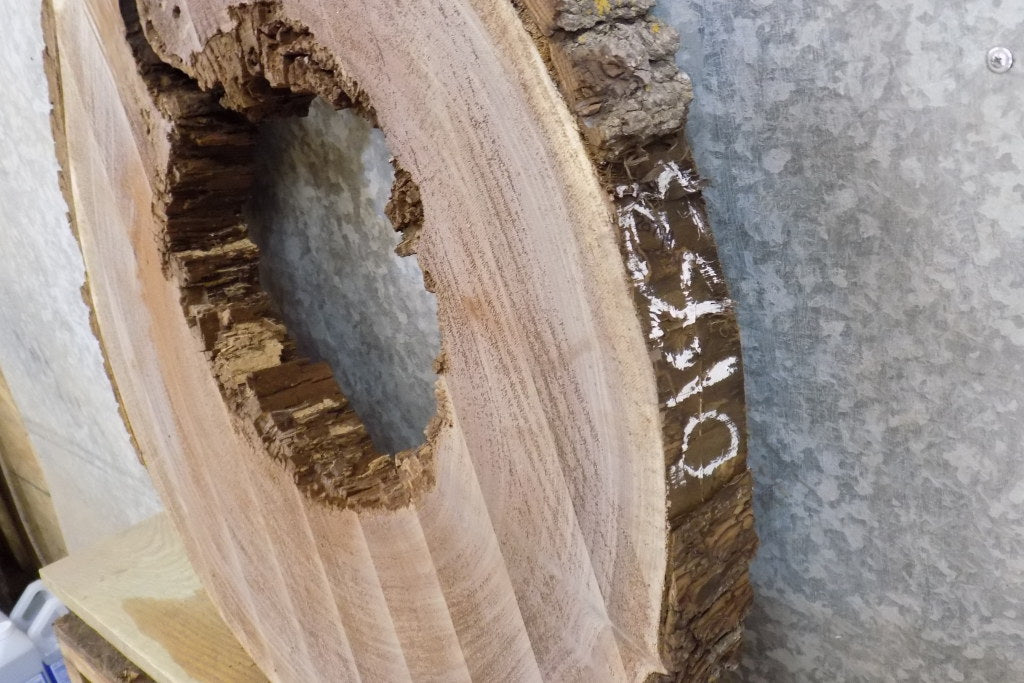 Rustic Round/Thick Cut Live Edge Black Walnut Table Top Slab 20794