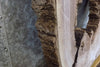 Thumbnail for Live Edge Black Walnut Round Cut Rustic Coffee Table Top Slab 20797