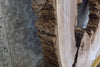 Thumbnail for Live Edge Black Walnut Round Cut Rustic Coffee Table Top Slab 20797