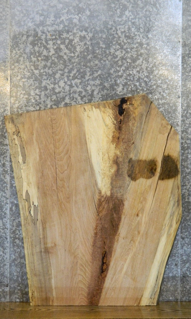 Live Edge Spalted Maple Coffee Table/Desk Top Slab CLOSEOUT 20800