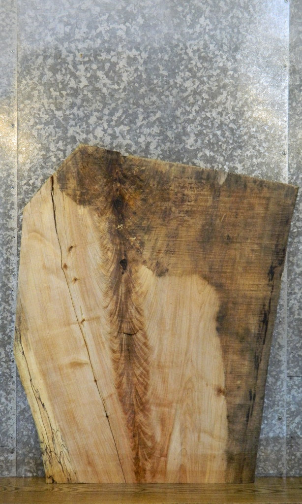Live Edge Spalted Maple Coffee Table/Desk Top Slab CLOSEOUT 20800