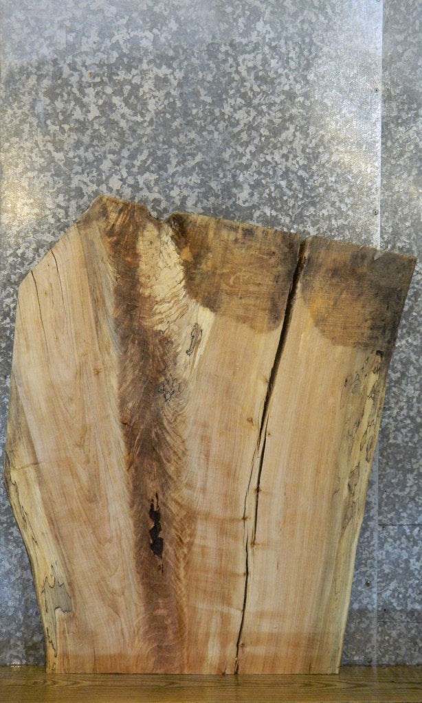 Live Edge Spalted Maple Desk/Coffee Table Top Slab CLOSEOUT 20801