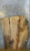 Thumbnail for Live Edge Spalted Maple Desk/Coffee Table Top Slab CLOSEOUT 20801
