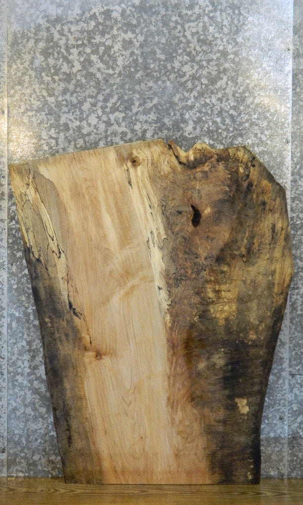 Live Edge Spalted Maple Desk/Coffee Table Top Slab CLOSEOUT 20803