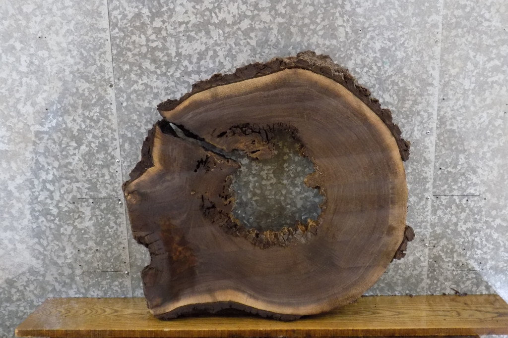 Live Edge Black Walnut Round Coffee Table Top Slab, Epoxy 20804