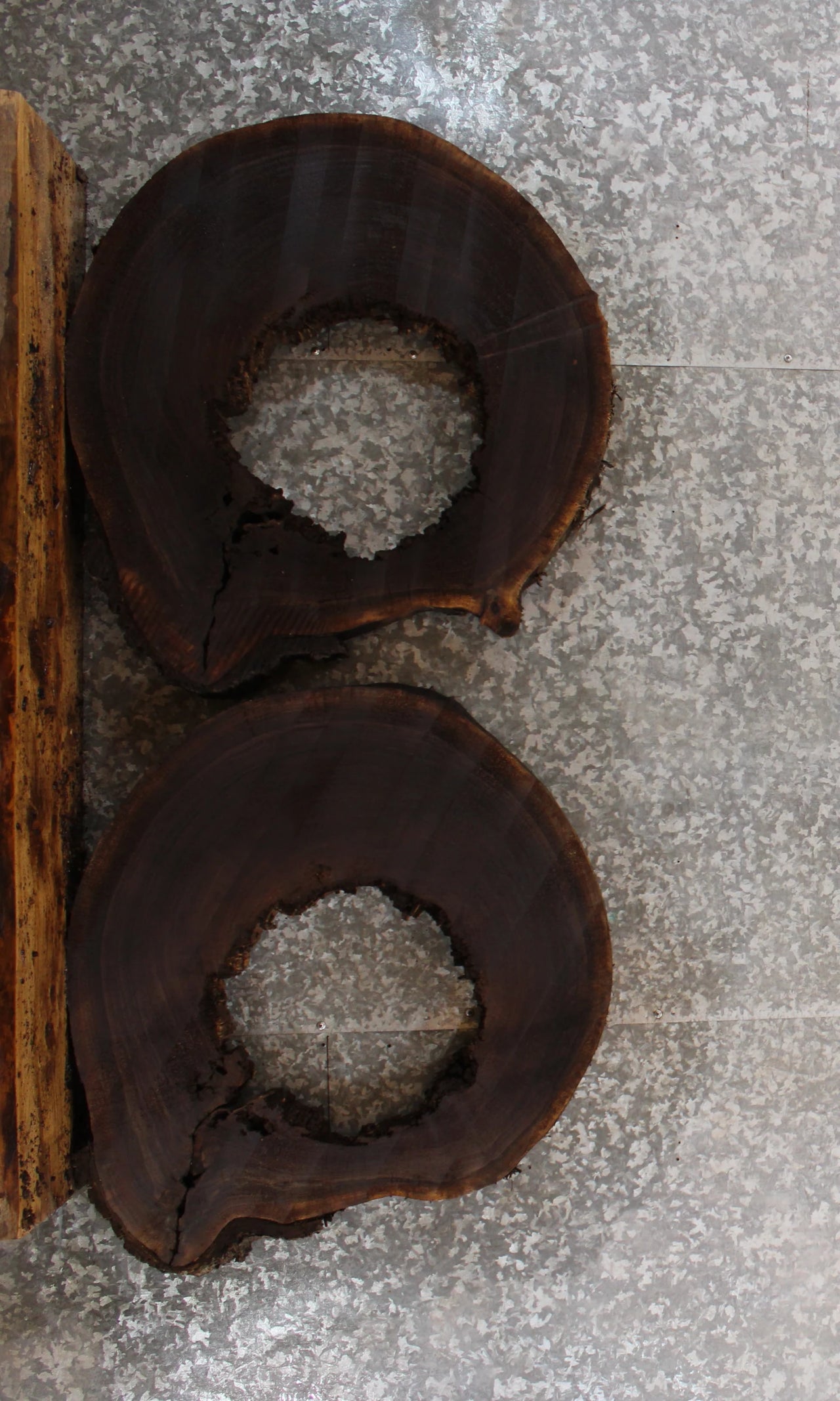 2- Live Edge Circle Black Walnut Taxidermy Bases, Epoxy Project 20820-20821