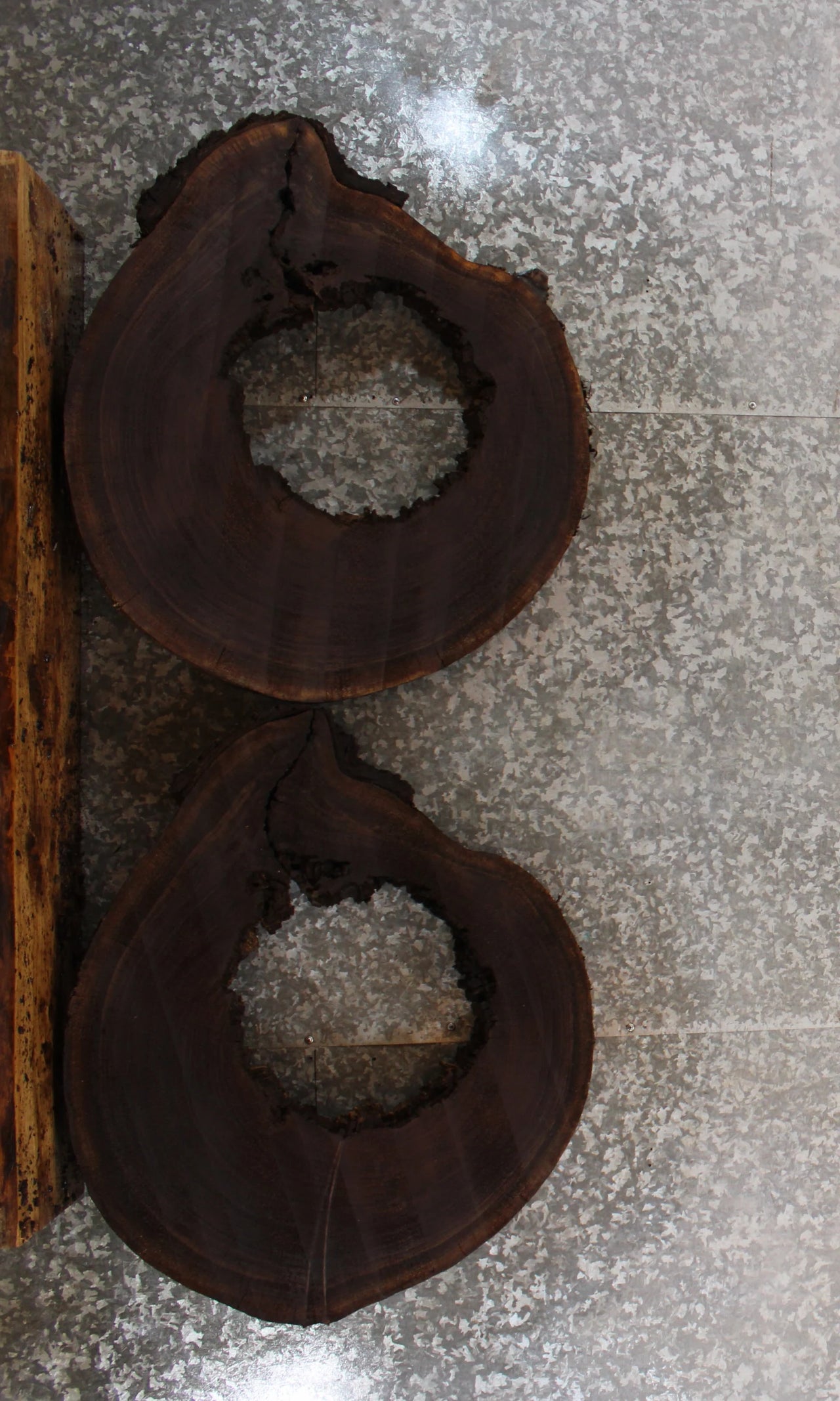 2- Live Edge Circle Black Walnut Taxidermy Bases, Epoxy Project 20820-20821