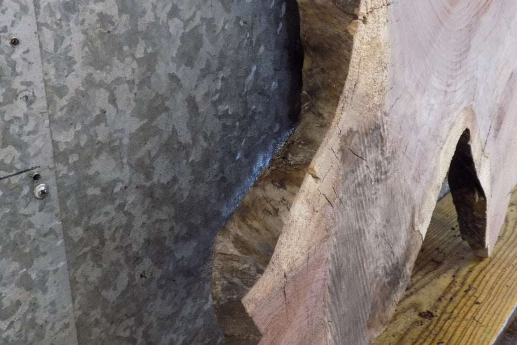 Live Edge Round Cut Black Walnut Slab, Coffee Table Top 20814