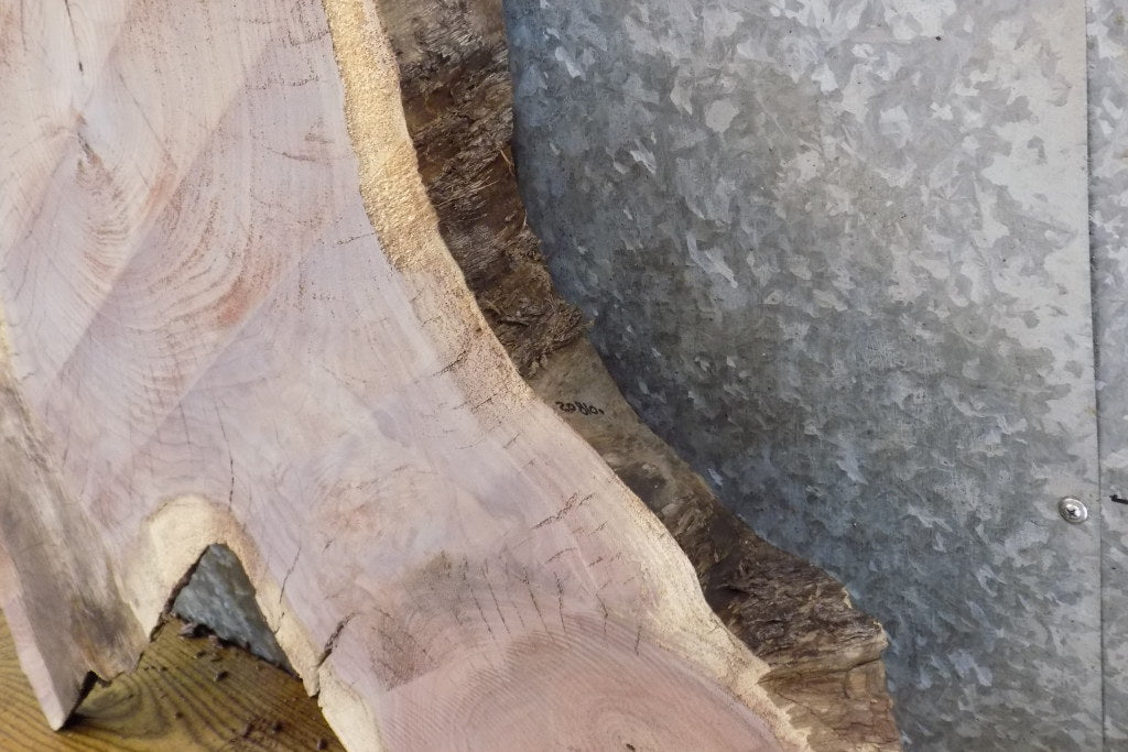 Live Edge Round Cut Black Walnut Slab, Coffee Table Top 20814