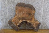 Thumbnail for Live Edge Round Cut Black Walnut Slab, Coffee Table Top 20814