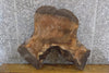 Thumbnail for Live Edge Round Cut Black Walnut Slab, Coffee Table Top 20814