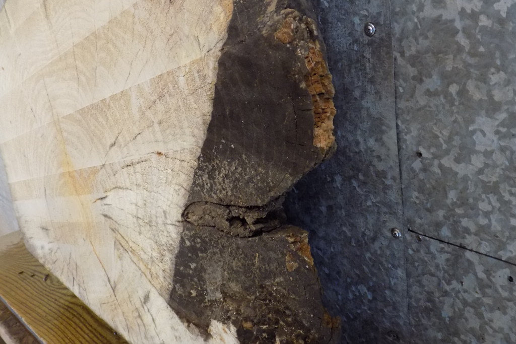 Live Edge Ash Round Cut Sofa/Coffee Table Top Slab CLOSEOUT 20812