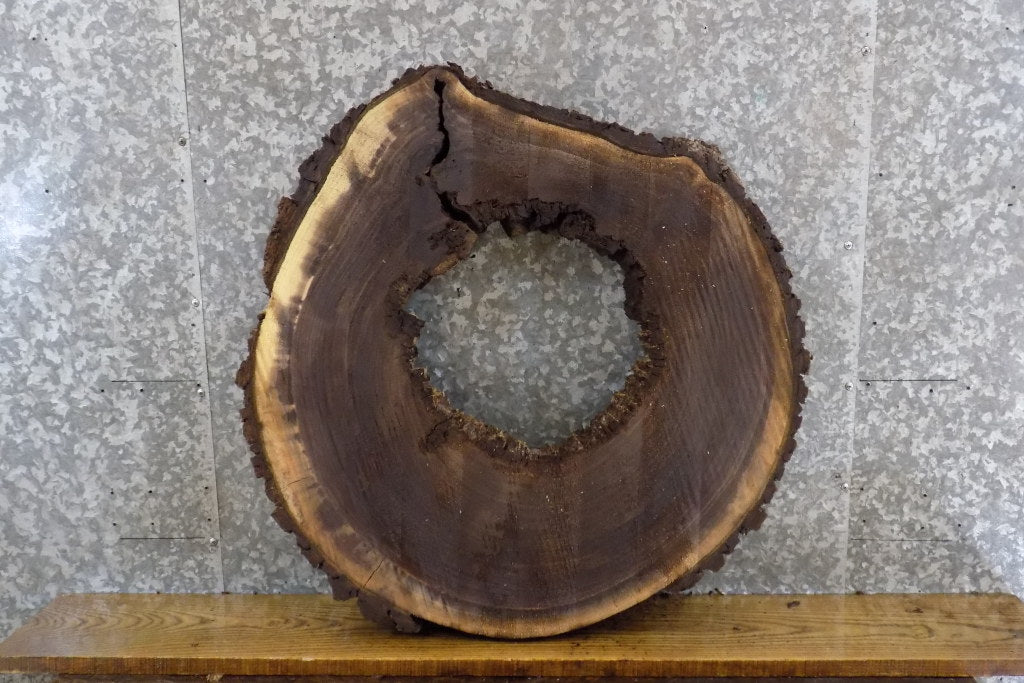 Round Live Edge Black Walnut Table Top Slab, Epoxy Project 20816