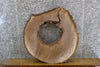 Thumbnail for Round Live Edge Black Walnut Table Top Slab, Epoxy Project 20816