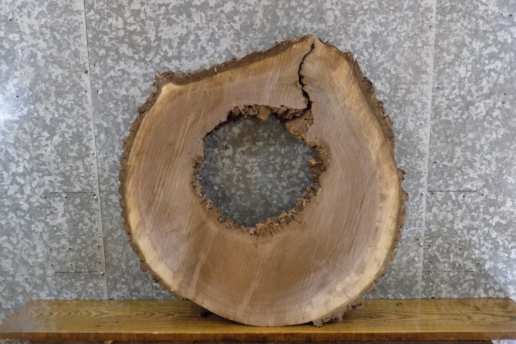 Round Live Edge Black Walnut Table Top Slab, Epoxy Project 20816