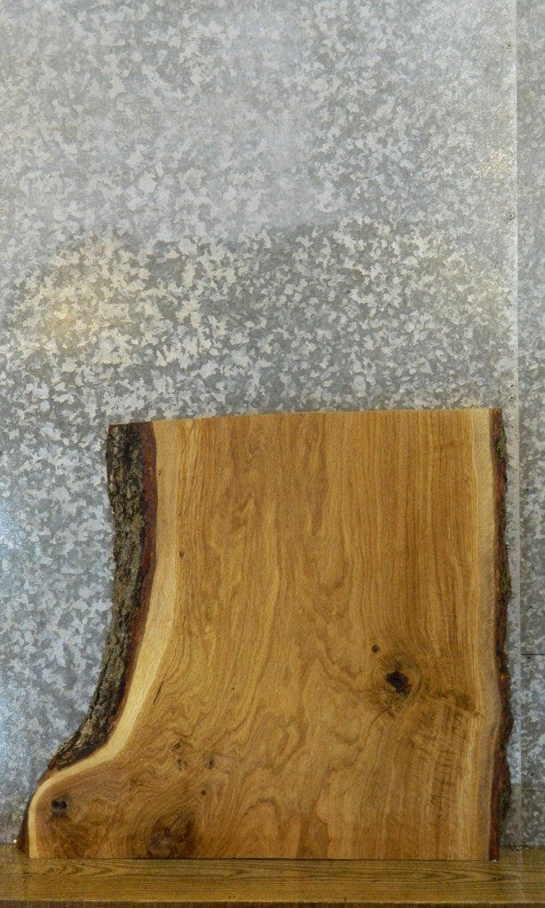 Live Edge Bark White Oak End/Side Table Top Slab CLOSEOUT 20817