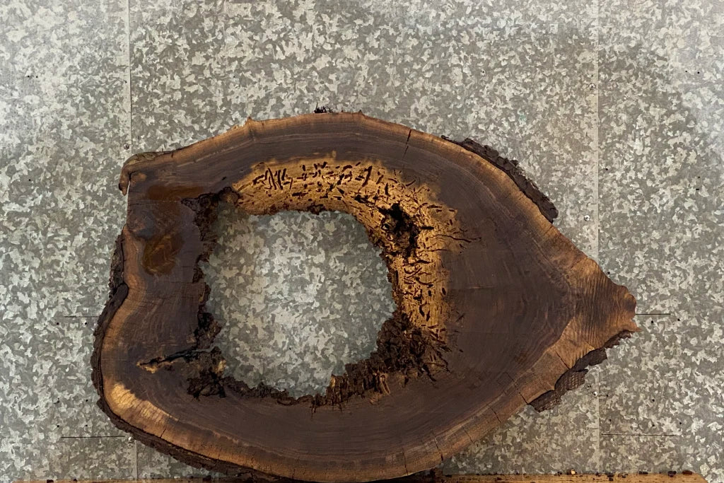 Black Walnut Live Edge Slab, Round Cut Epoxy Table Project 20823
