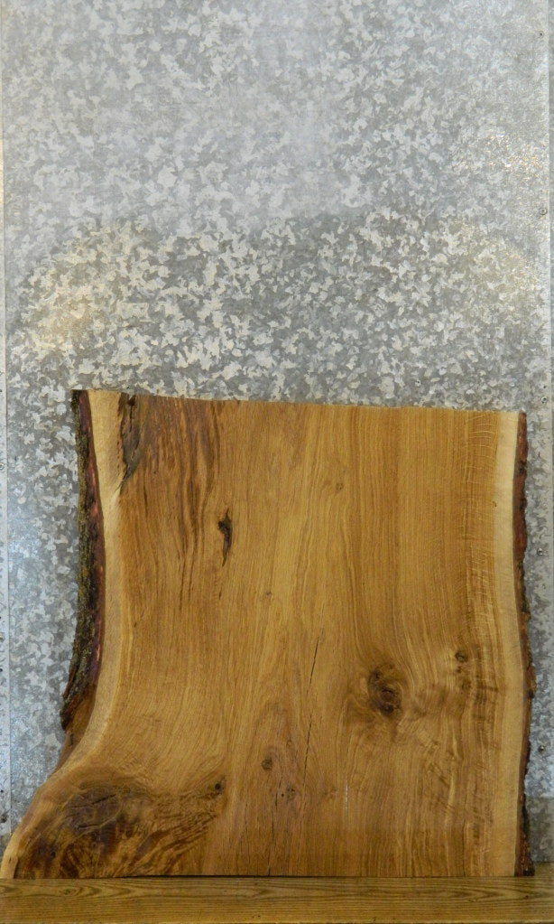 Live Edge White Oak Sofa Table Top Wood Slab CLOSEOUT 20824