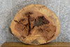 Thumbnail for Oval Cut Ash Live Edge Epoxy Project/Table Top Slab CLOSEOUT 20835
