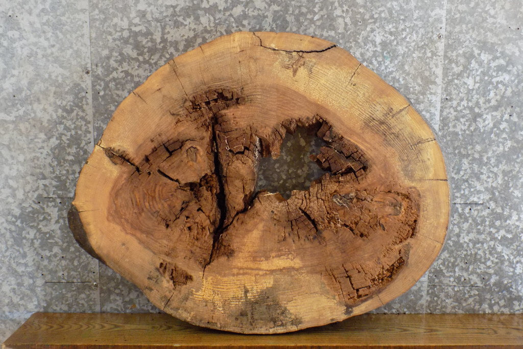 Oval Cut Ash Live Edge Epoxy Project/Table Top Slab CLOSEOUT 20835