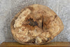 Thumbnail for Oval Cut Ash Live Edge Epoxy Project/Table Top Slab CLOSEOUT 20835
