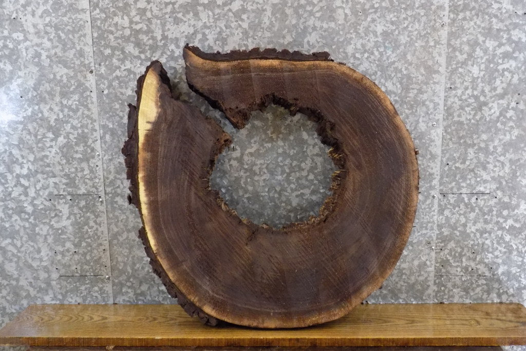 Live Edge Black Walnut Side Table Top Slab, Epoxy Project 20837