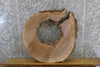 Thumbnail for Live Edge Black Walnut Side Table Top Slab, Epoxy Project 20837