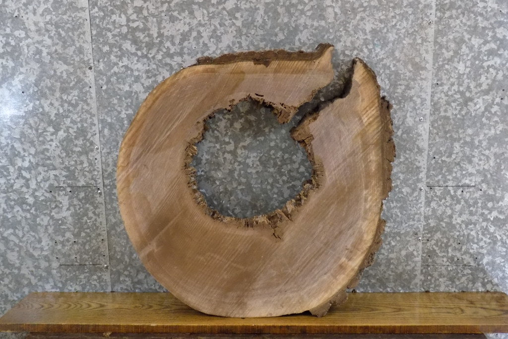 Live Edge Black Walnut Side Table Top Slab, Epoxy Project 20837