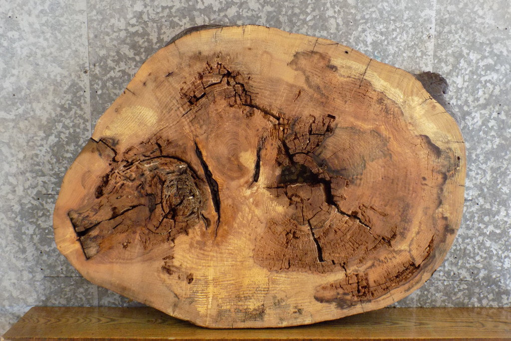 Oval Cut Ash Live Edge Epoxy Project/Table Top Slab CLOSEOUT 20838