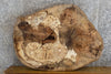 Thumbnail for Oval Cut Ash Live Edge Epoxy Project/Table Top Slab CLOSEOUT 20838