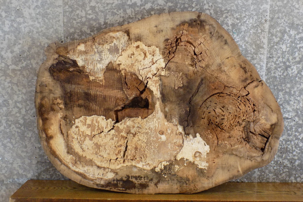 Oval Cut Ash Live Edge Epoxy Project/Table Top Slab CLOSEOUT 20838