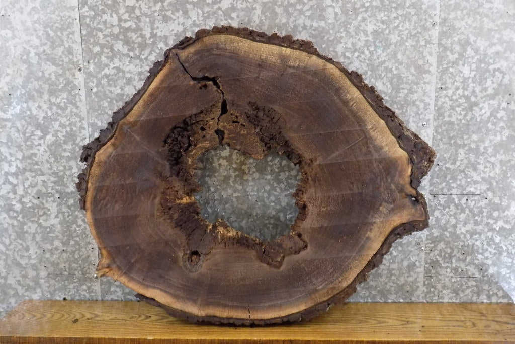 Round Cut Live Edge Black Walnut Table Top/Epoxy Project Slab 20840