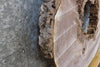 Thumbnail for Round Cut Live Edge Black Walnut Table Top/Epoxy Project Slab 20840